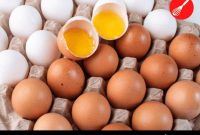 Why Eggs Don’t Hatch: The Main Reason Explained
