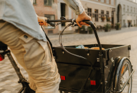 How to Choose and Buy a Used Family Cargo Bike