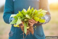 Become Your Own Doctor: Practical Self Care Skills