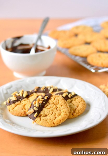 chocolate-dipped-flourless-peanut-butter-cookies-1