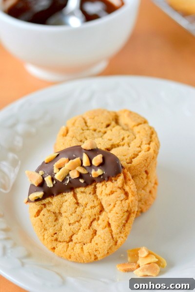 chocolate-dipped-flourless-peanut-butter-cookies-5