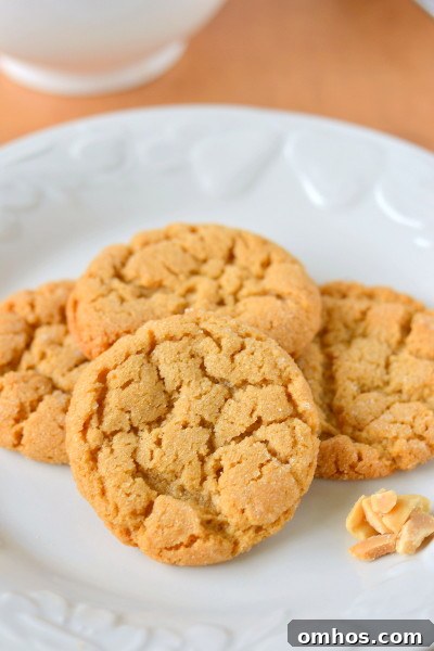 chocolate-dipped-flourless-peanut-butter-cookies-6