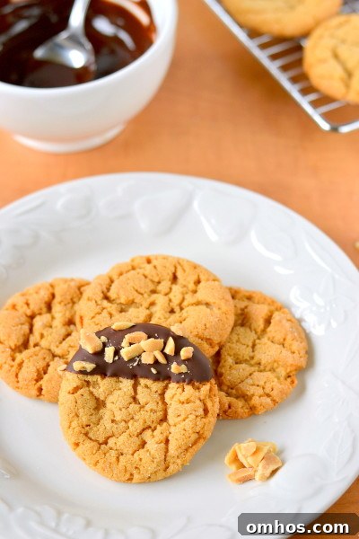 chocolate-dipped-flourless-peanut-butter-cookies-7