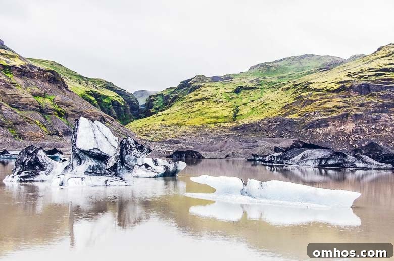 Iceland South Coast and Golden Circle: Day Trip Itinerary 25 Solheimajokull Glacier Iceland 4