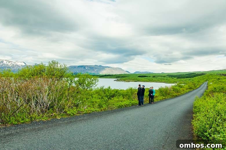 Iceland South Coast and Golden Circle: Day Trip Itinerary 4 Iceland South Coast Golden Circle 3