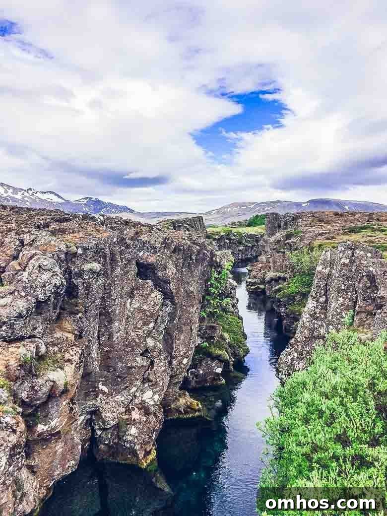 Iceland South Coast and Golden Circle: Day Trip Itinerary 6 Tectonic Plates at Thingvellir National Park Iceland South Coast Golden Circle