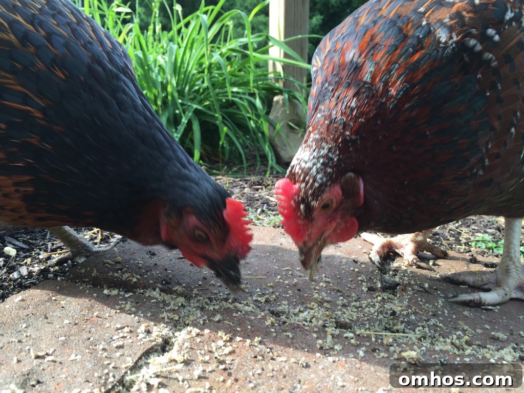 Lucy and Ethel