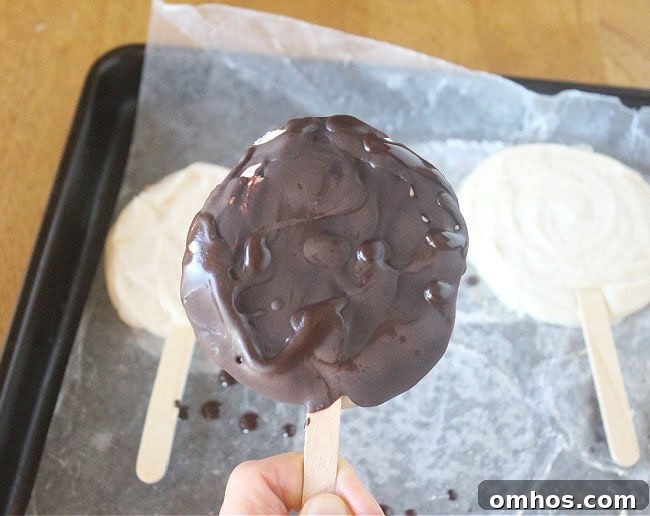 Hand holding a homemade Dilly bar.