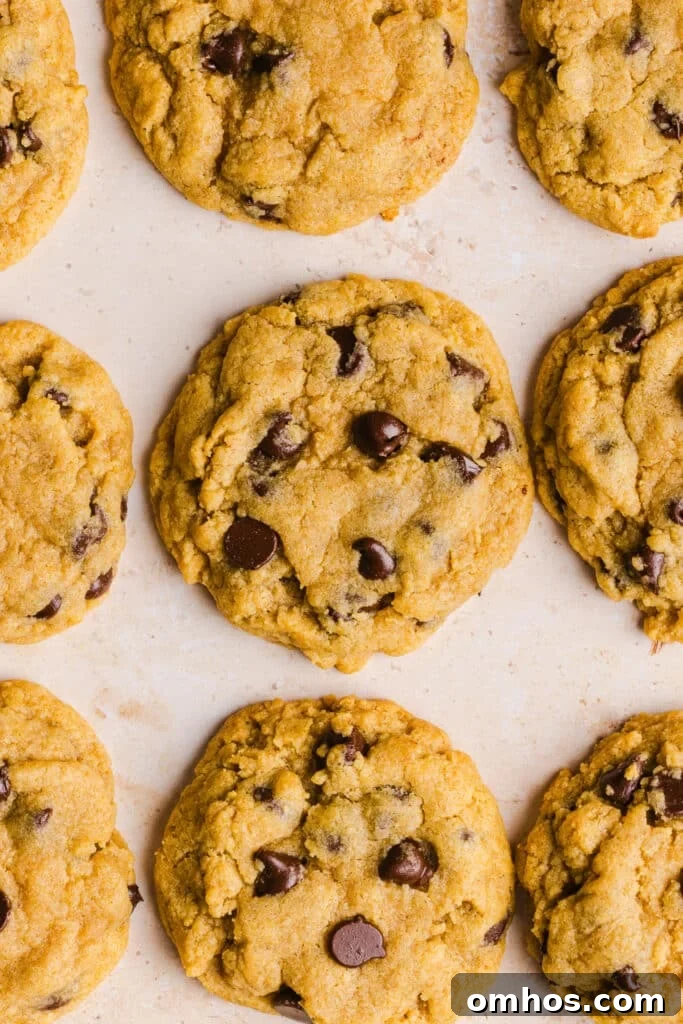 Chewy Whole Wheat Chocolate Chip Cookies Recipe 6 Whole wheat chocolate chip cookies on a countertop.