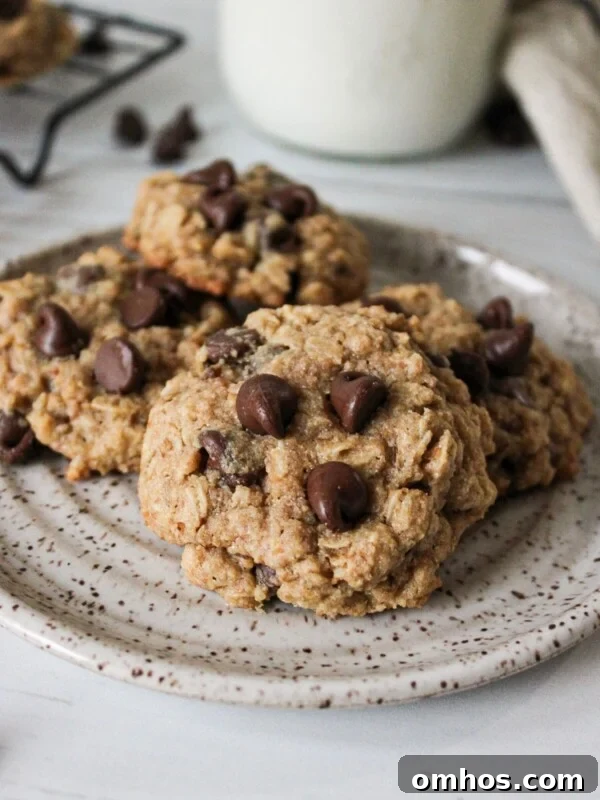 Three high fiber chocolate chip cookies on a plate.