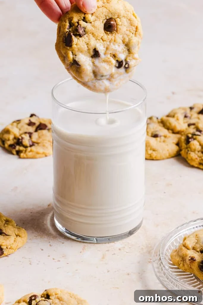 Chewy Whole Wheat Chocolate Chip Cookies Recipe 3 A whole wheat chocolate chip cookie being dipped into milk.