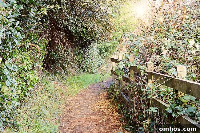 Stairway up the cliff to the coastal path