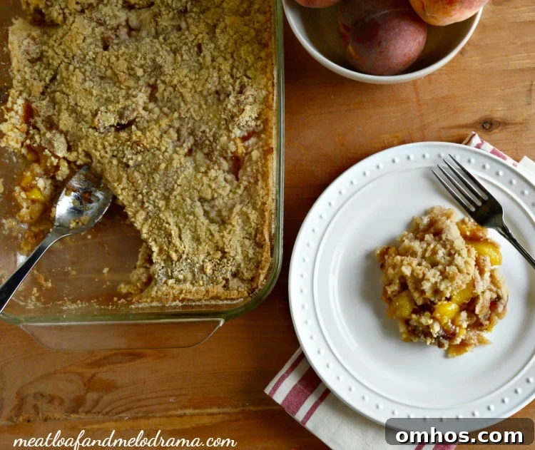 Homemade Fresh Peach Crisp Recipe with Oat Crumble 10 fresh-peach-crisp-plated