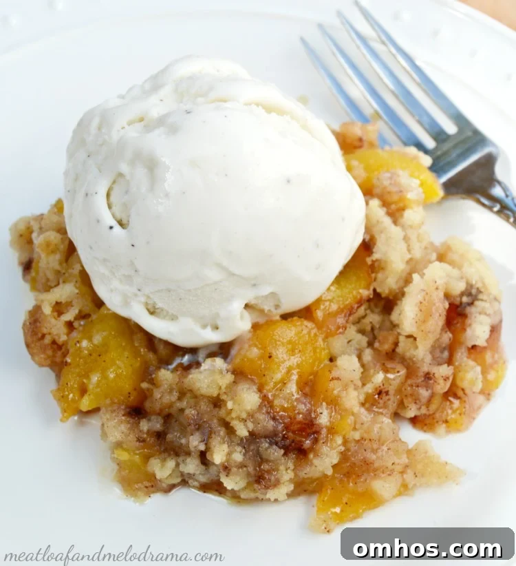 Homemade Fresh Peach Crisp Recipe with Oat Crumble 8 homemade-fresh-peach-crisp-ice-cream
