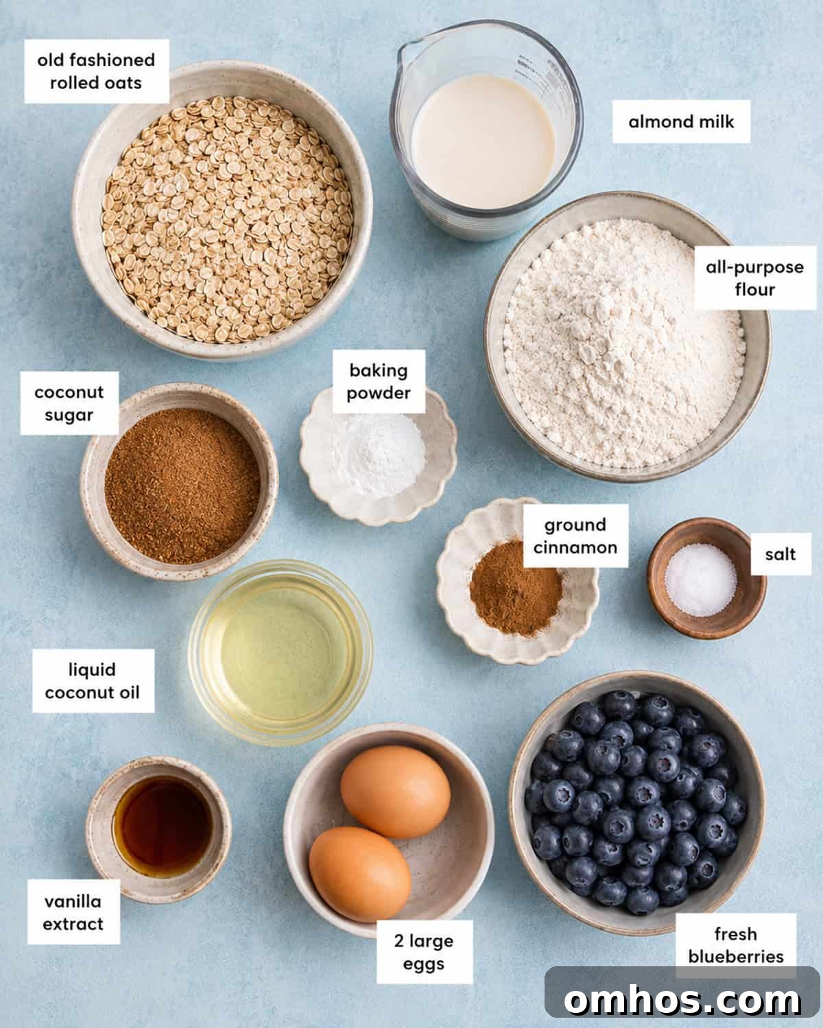 Moist Blueberry Oatmeal Muffins Recipe 3 img 11906 3