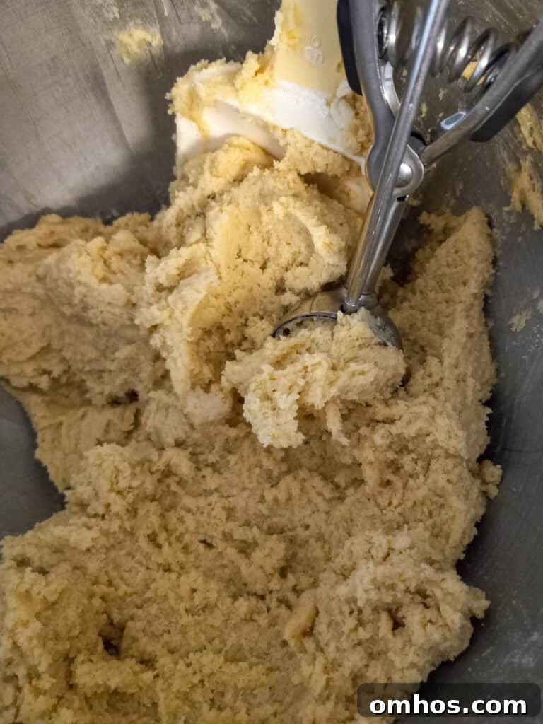 Amish snickerdoodle cookie dough in a mixing bowl with a scoop.