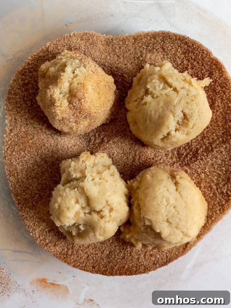 dipping the cookie balls into a cinnamon and sugar mixture.
