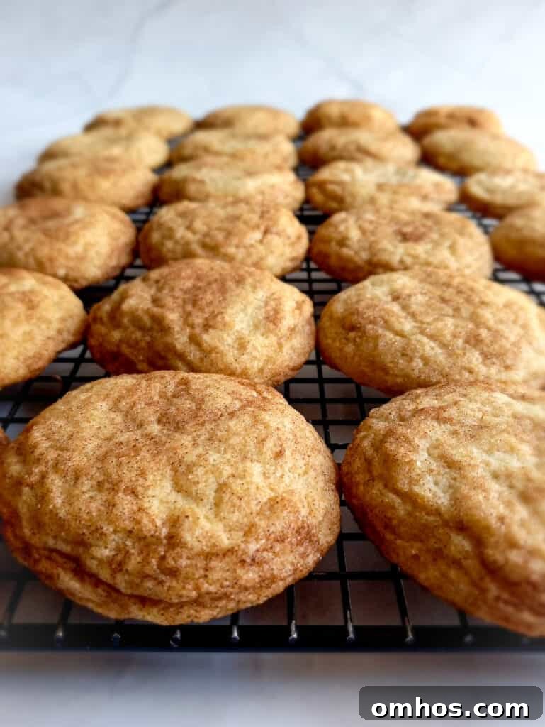 cinnamon and sugar coated snickerdoodle cookies on a cooling rack.
