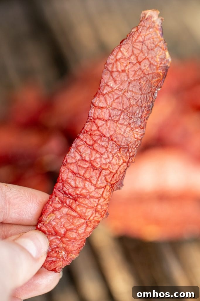 close up of a piece of corned beef jerky.