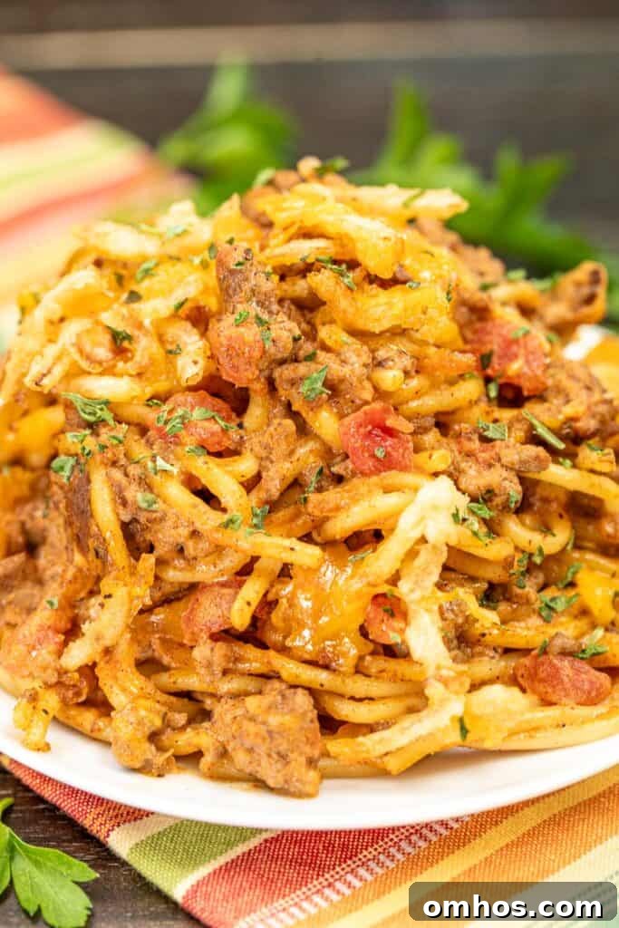plate of spaghetti