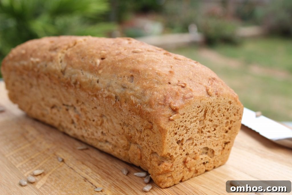 Gluten-Free Bread Recipe for Soft, Flavorful Loaves 3 Tina's gluten free bread top view