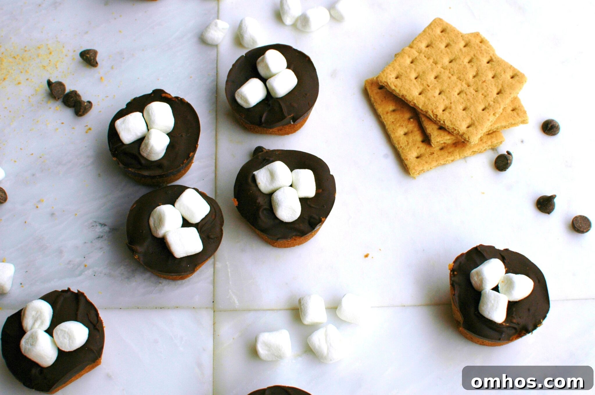 Mini S'mores Tarts || For the Love of Gourmet 