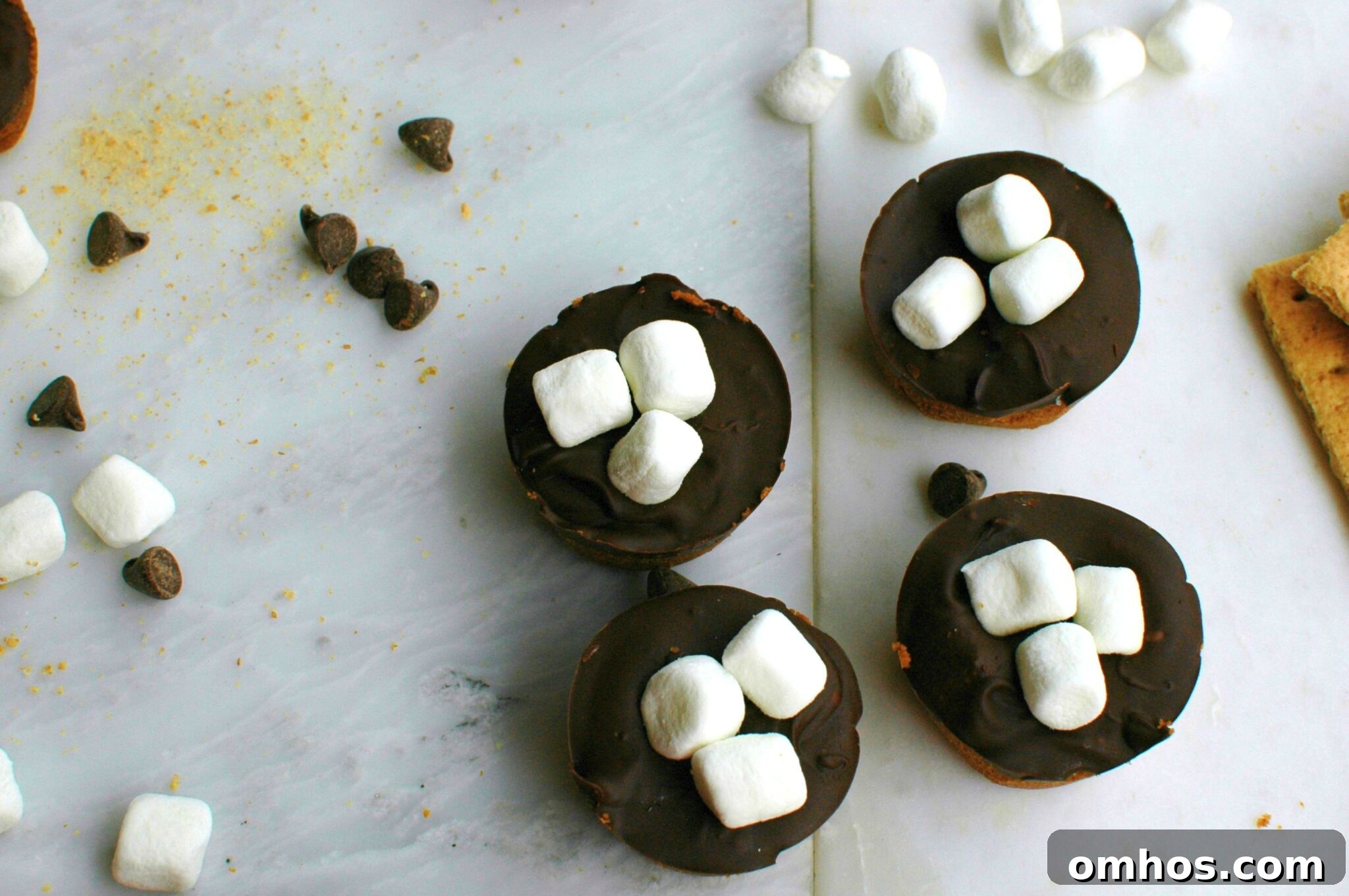 Mini S'mores Tarts || For the Love of Gourmet 