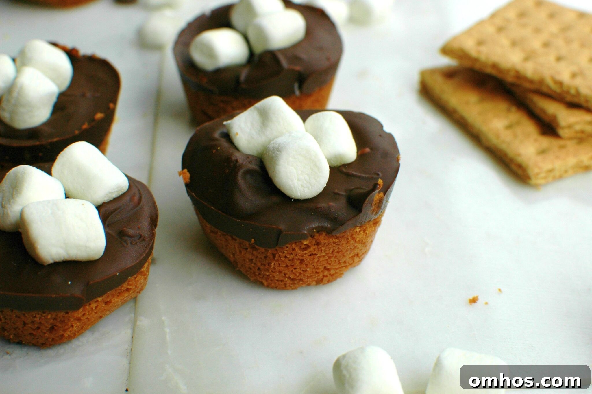 Mini S'mores Tarts || For the Love of Gourmet 