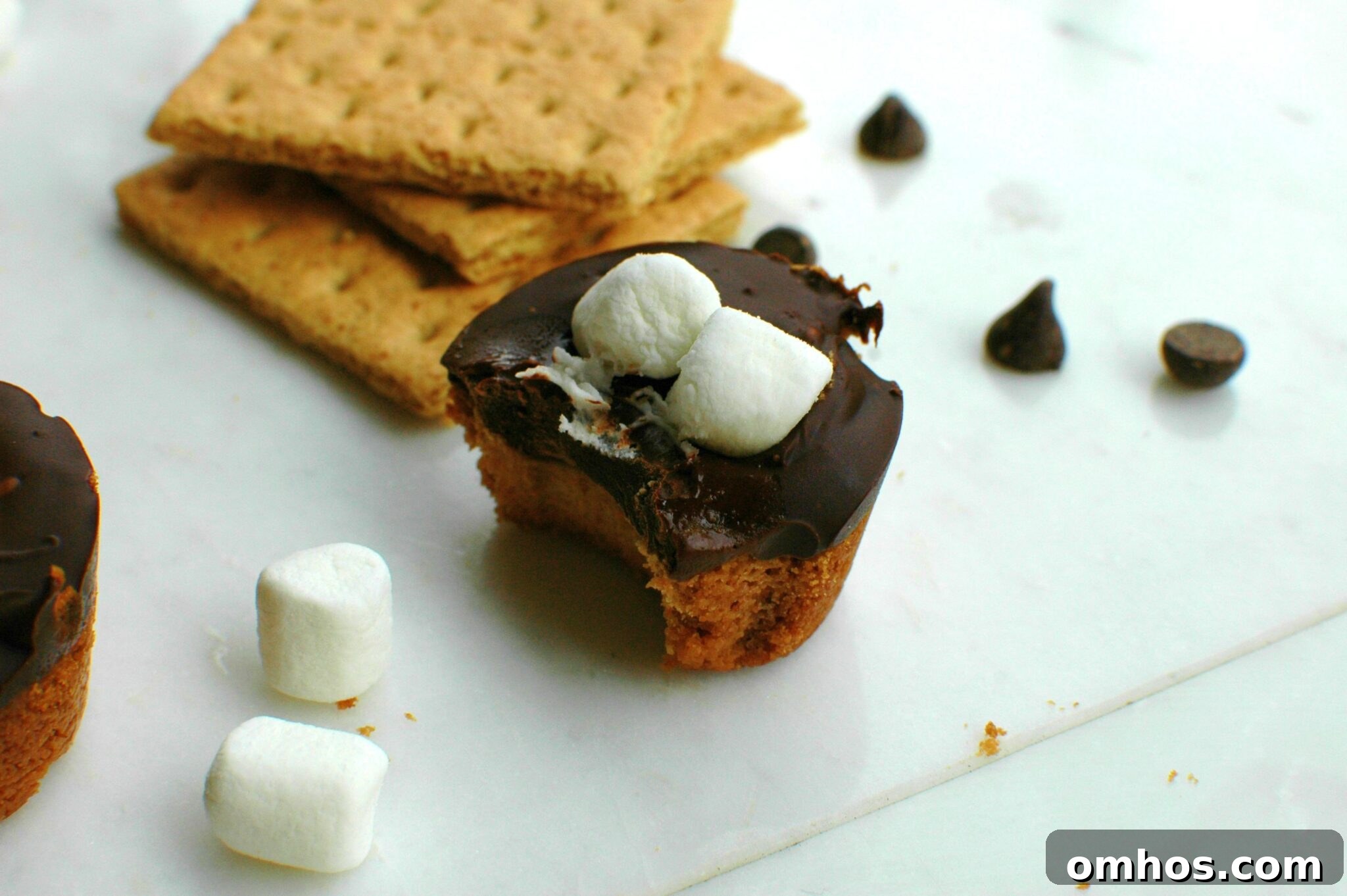 Mini S'mores Tarts || For the Love of Gourmet 