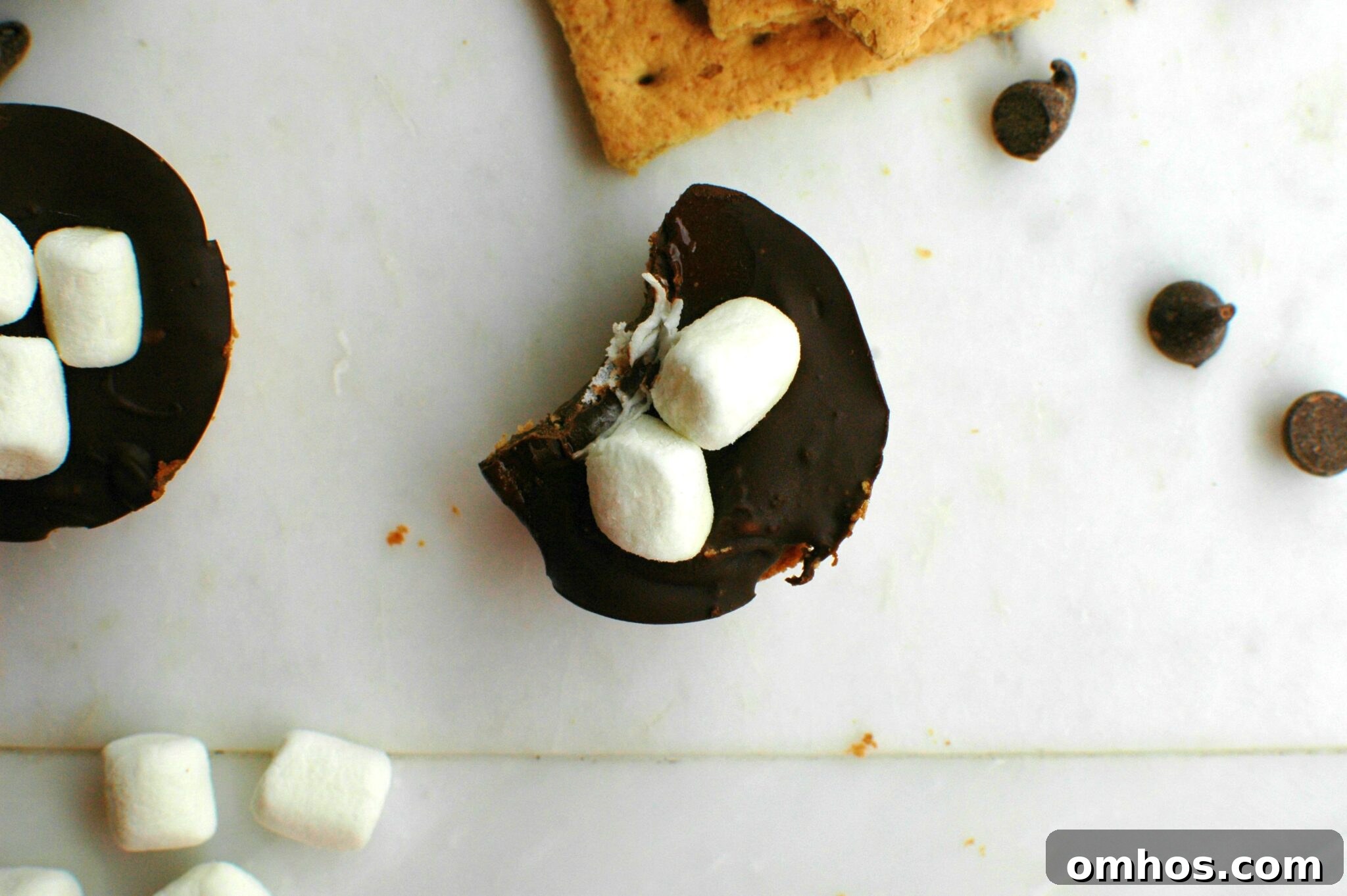 Mini S'mores Tarts || For the Love of Gourmet 