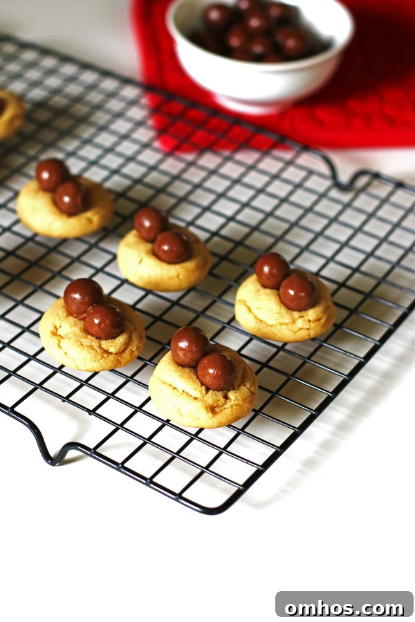 Cookies cooling on a black cooking rack