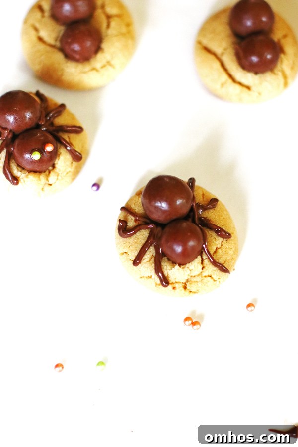 Placing the spider legs on to the cookies by using melted chocolate