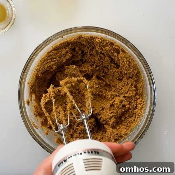 Gluten-Free Iced Ginger Molasses Cookies Recipe 4 Mixing the cookie dough with a hand held mixer.