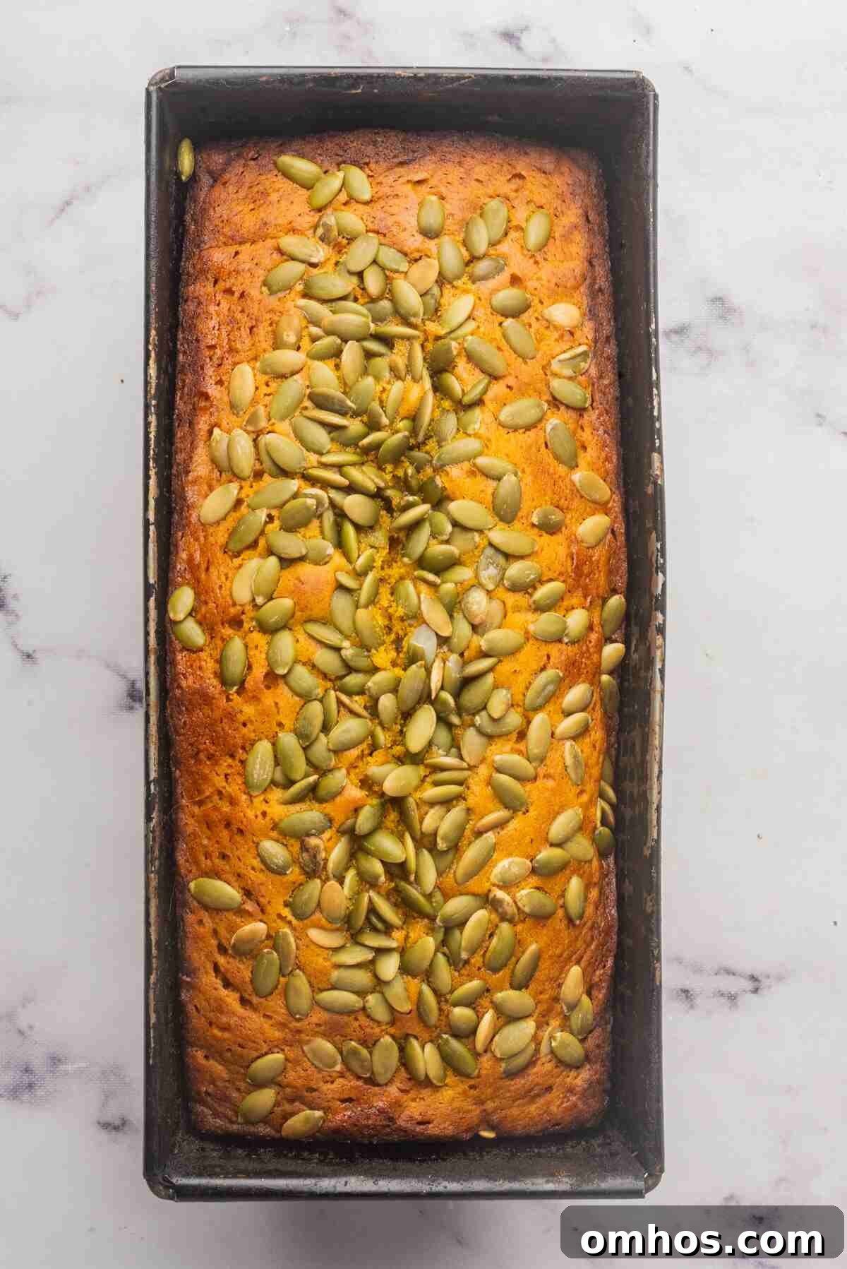 Starbucks-Style Pumpkin Bread Recipe 10 A loaf of baked pumpkin bread in a loaf pan, topped with toasted pumpkin seeds.