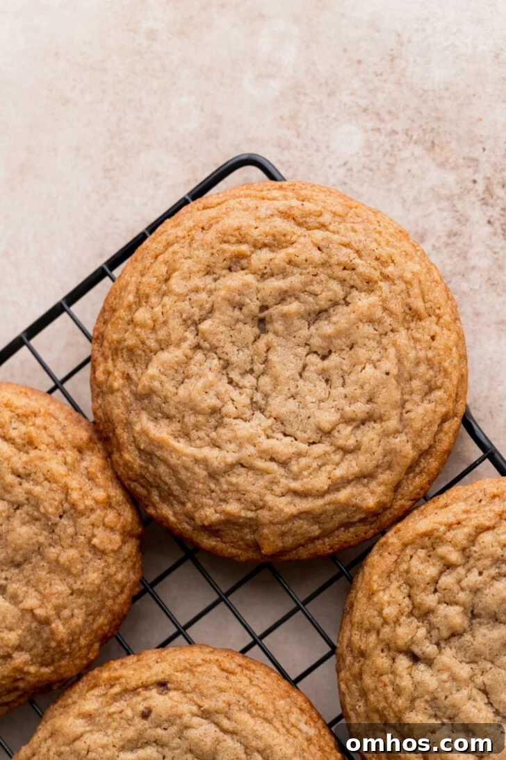 Baked cookies on a wire rack.