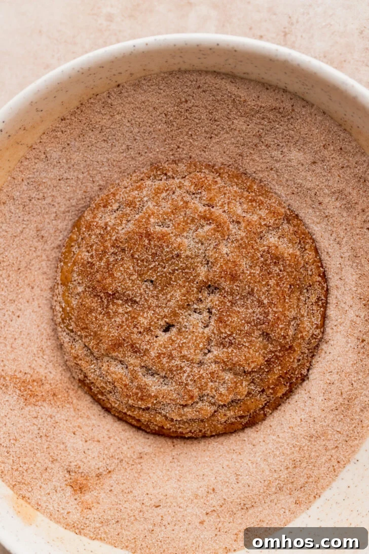 Cookie in cinnamon sugar.