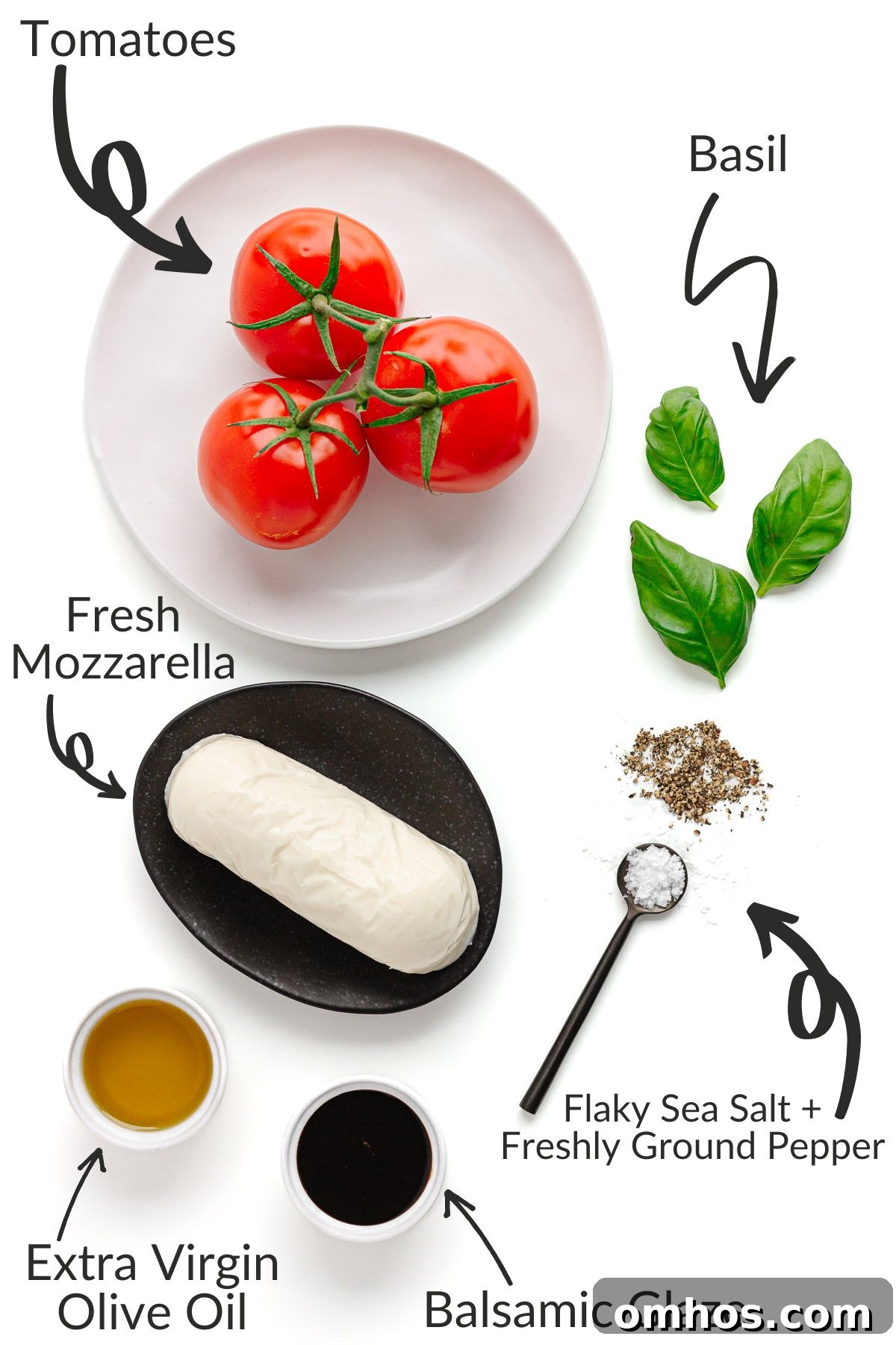 Labelled photo of ingredients needed to make a Christmas candy cane caprese salad.