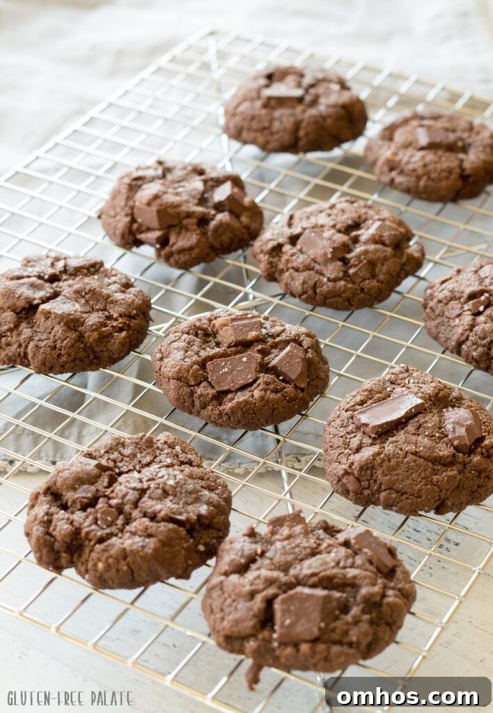 Chewy Chocolate SunButter Cookies Recipe 3 brown sunbutter cookies with chocolate chunks on a wire cooling rack