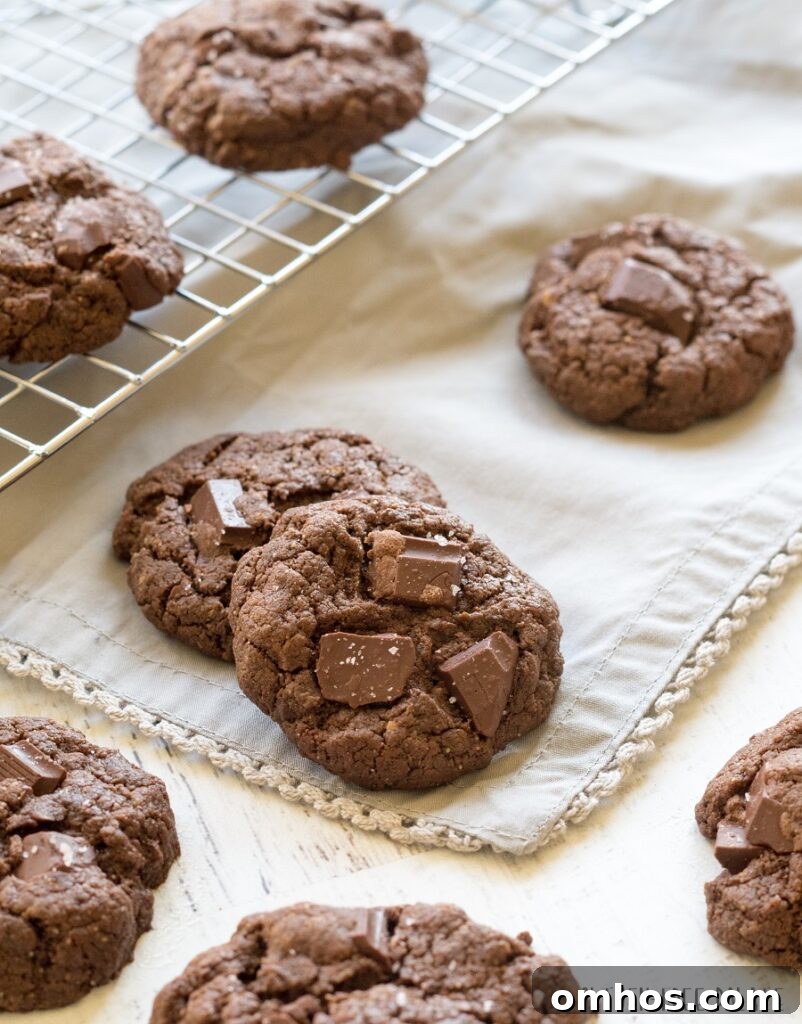 Chewy Chocolate SunButter Cookies Recipe 4 two round brown cookies with chocolate chunks on top stacked with cookies placed around them