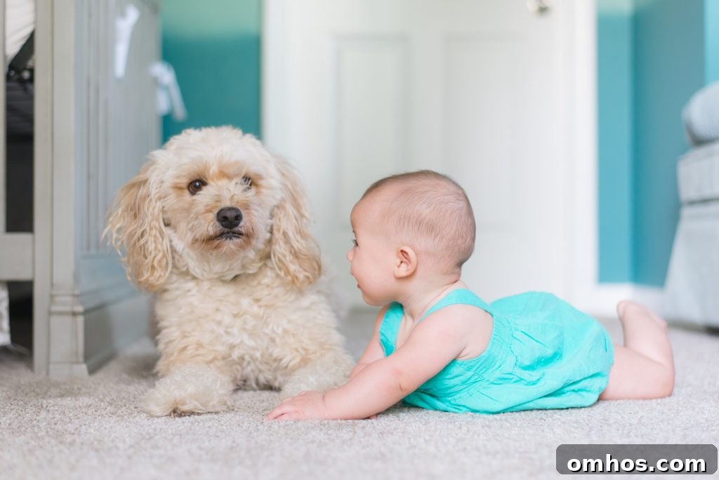 are-downy-unstopables-safe-for-baby-clothes
