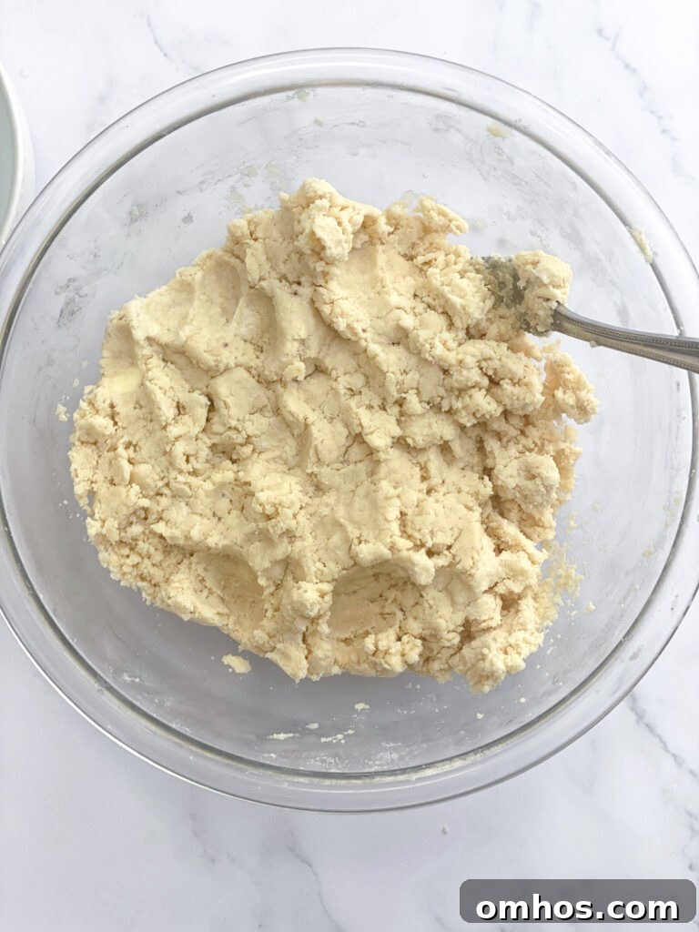 How to Make a Flaky, Buttery Pie Crust 7 dough that is ready to form