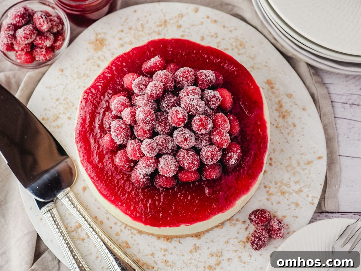 Serving sugared cranberries piled on top of a cranberry cheesecake with cranberry sauce, with serving wear on the side.