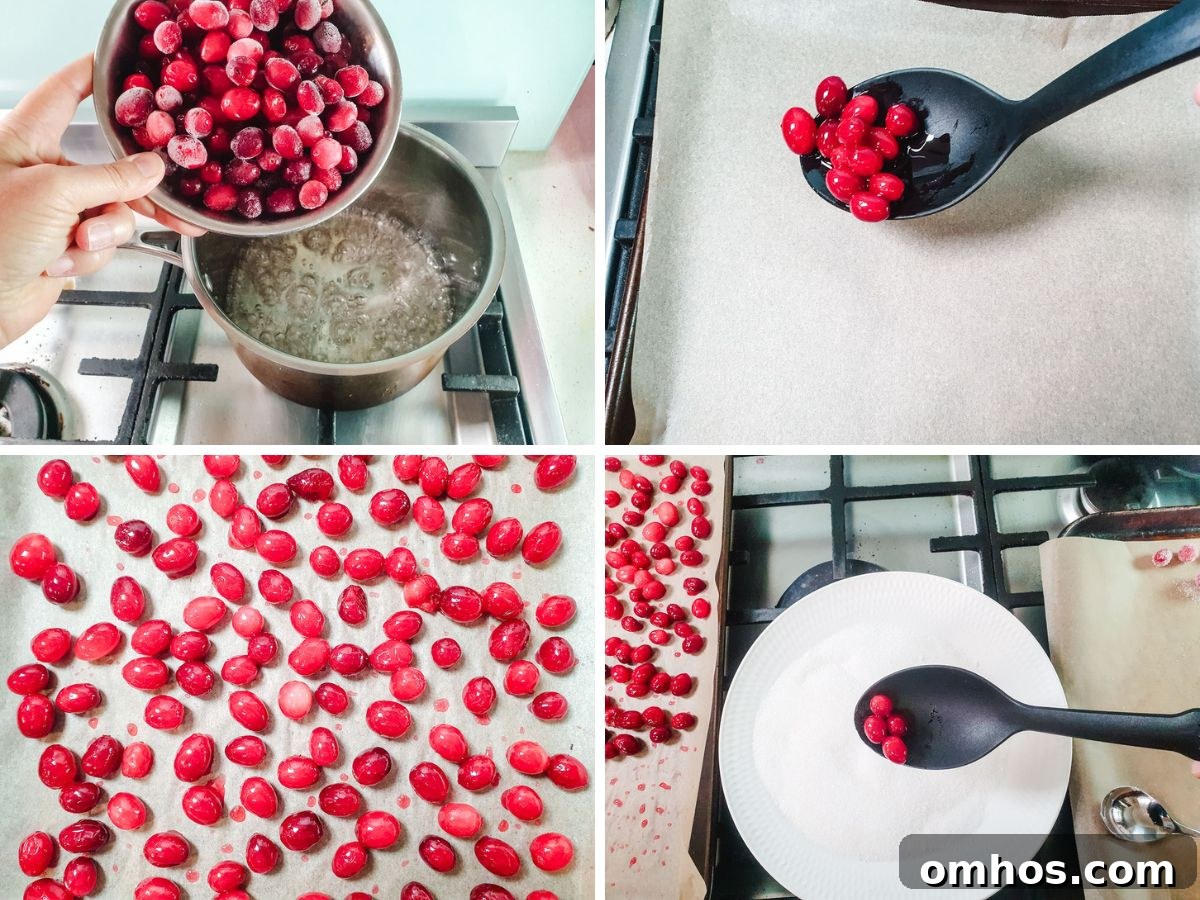 Process shots: adding cranberries to sugar syrup, laying cranberries out onto parchment paper, spooning dried cranberries into sugar.