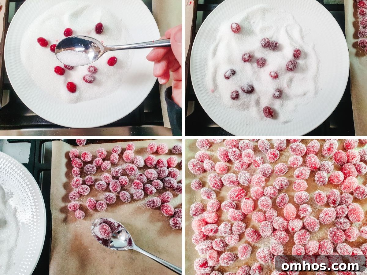 Process shots: spooning sugar over cranberries and rolling them around, putting sugar-coated cranberries onto tray to dry out.