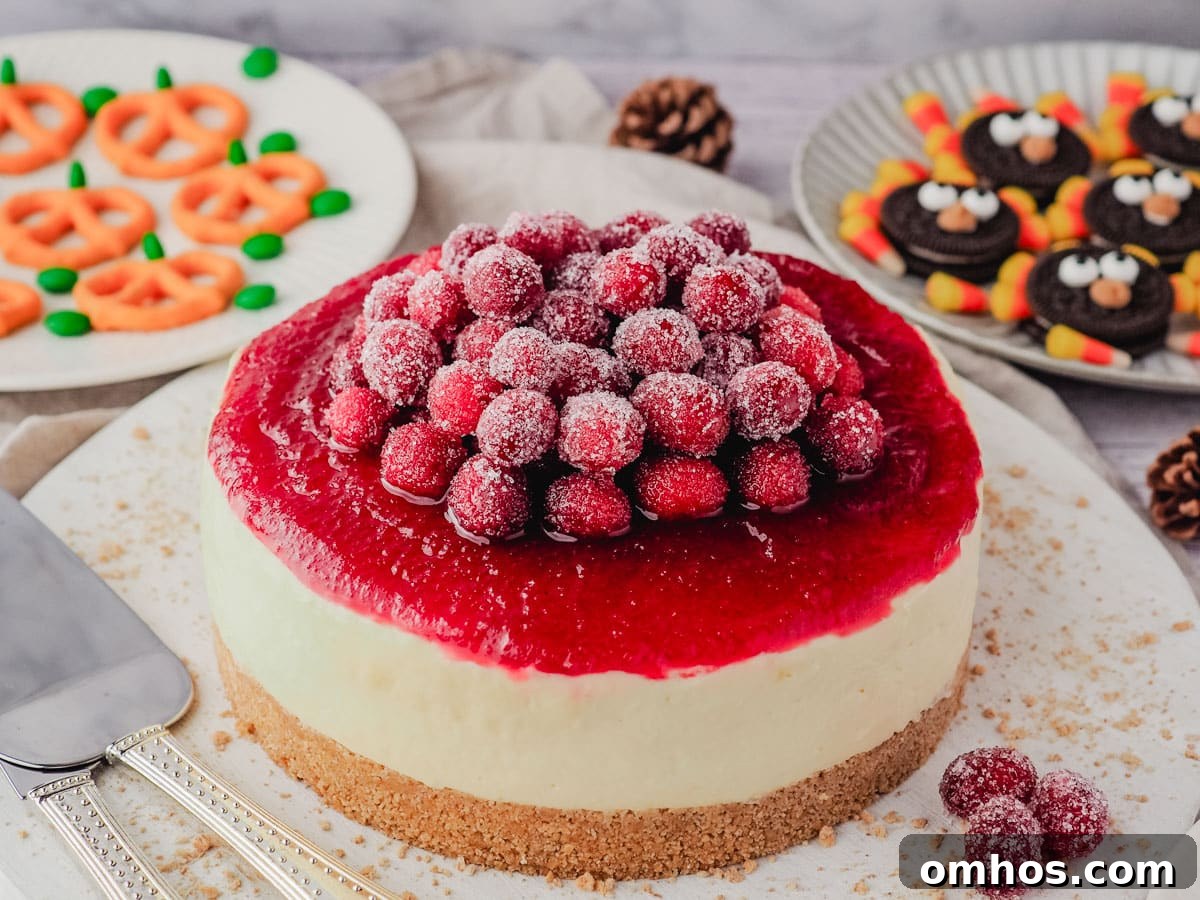 Sugared cranberries piled on top of a cranberry cheesecake with cranberry sauce, on a Thanksgiving dessert table.