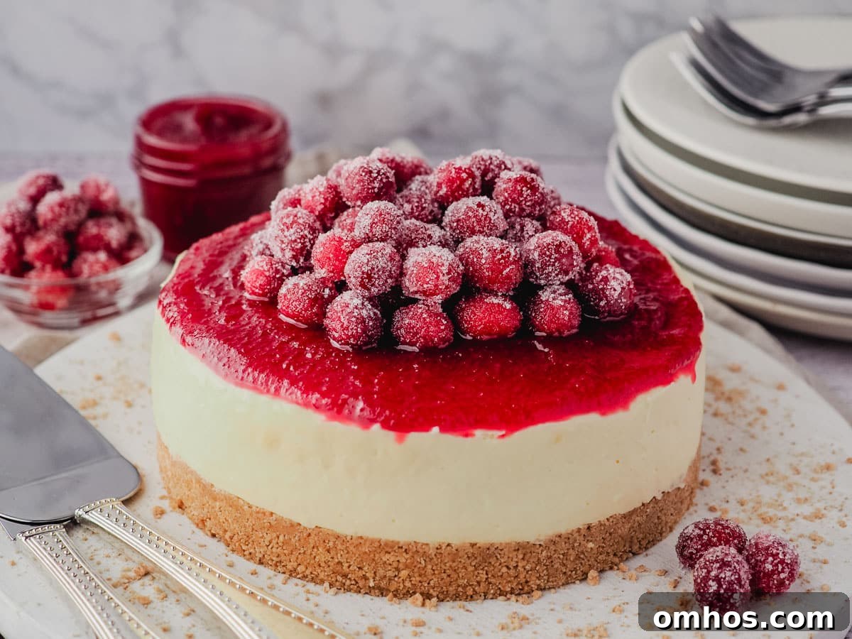 Cheesecake decorated with sugared cranberries and cranberry sauce, with a pile of plates, bowl of sugared cranberries and cranberry sauce in the background.