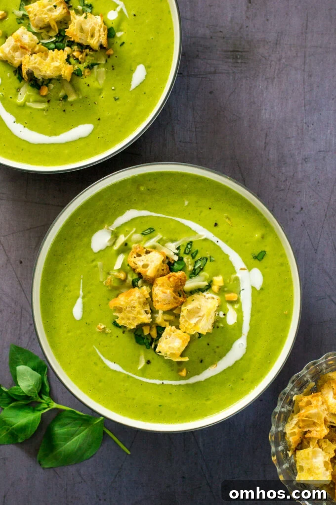 Courgette Soup