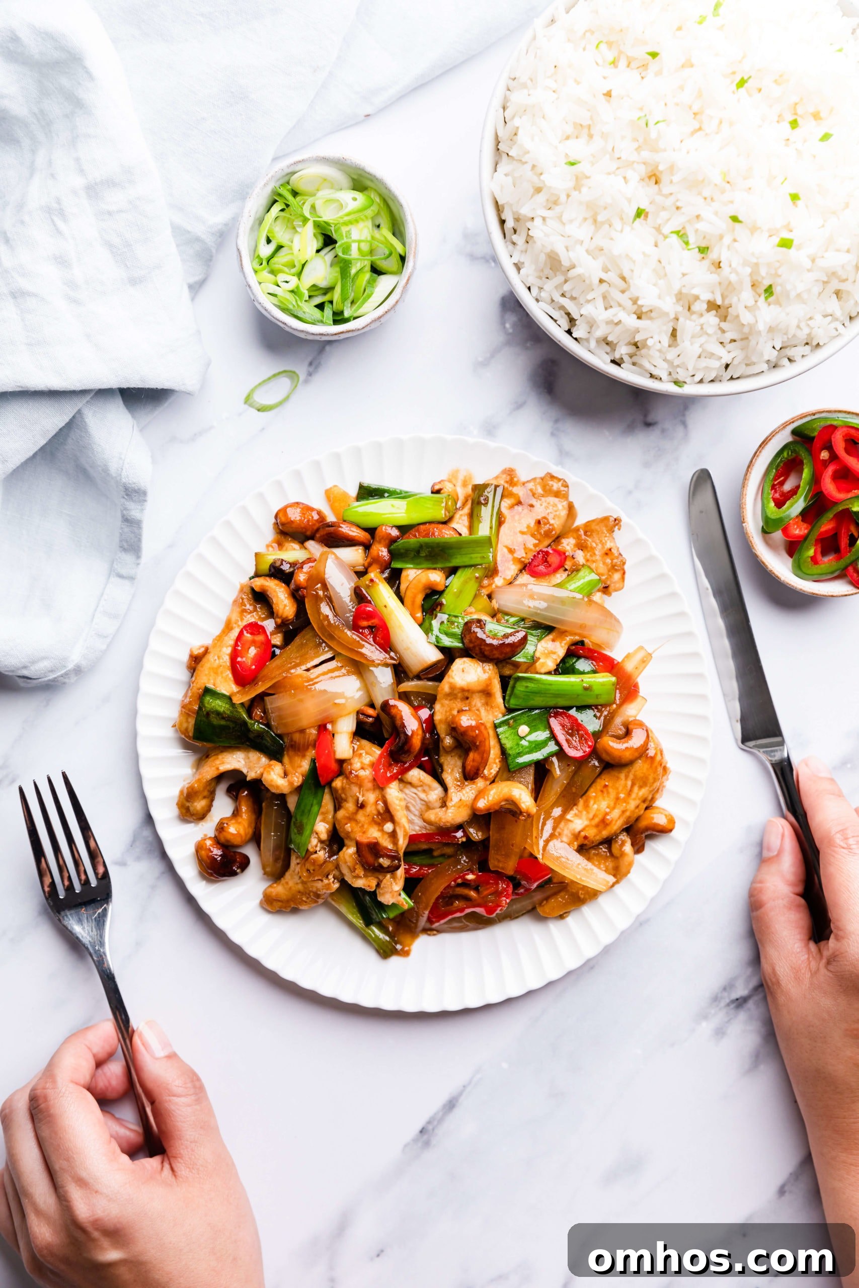top view of plateful of Thai cashew chicken with rice