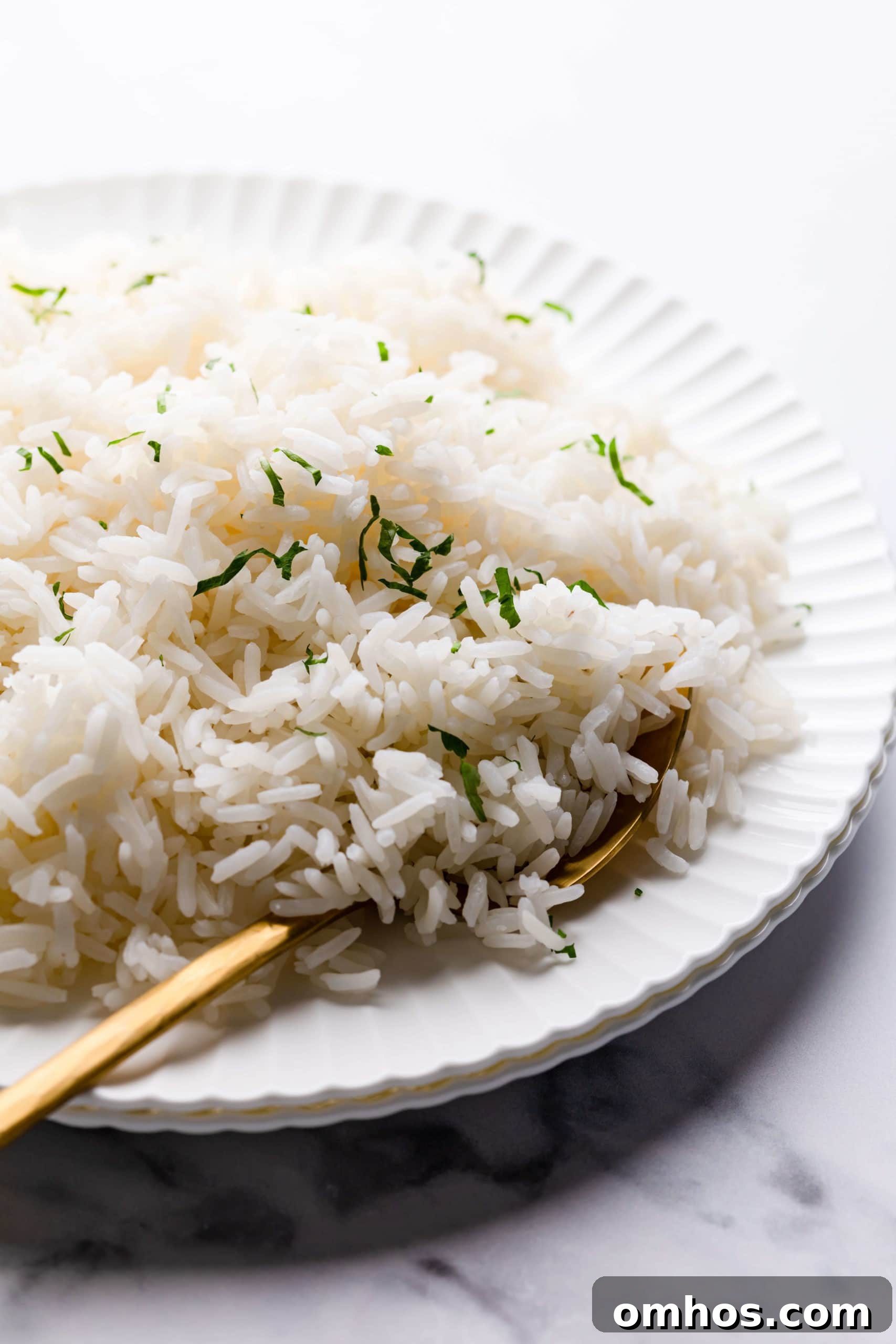 side close up at a plate with jasmine rice