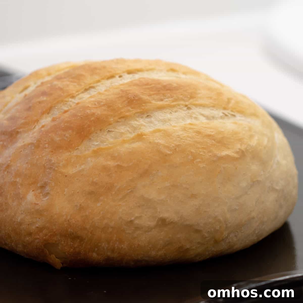 A fresh loaf of round artisan bread.